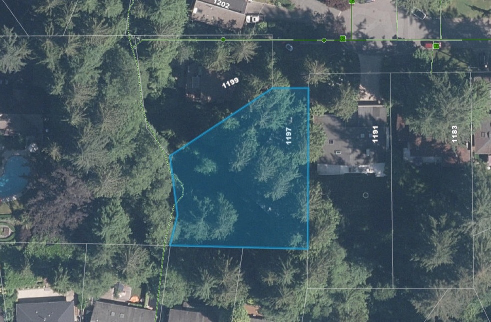 1197 Tall Tree Lane